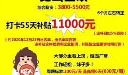 返厂最新爆料,揭秘产品升级背后的秘密与挑战