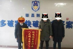 警方爆料小偷视频,小偷作案瞬间，监控视频揭露惊人真相