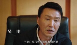 吴刚爆料许亚军视频全集,揭秘娱乐圈背后的惊人内幕