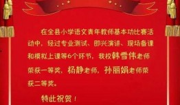 泗洪爆料视频,真实事件引发网友热议