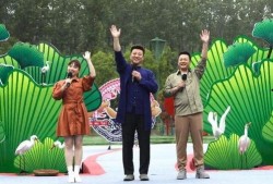 龙舞至尊最新爆料视频,揭秘神秘力量与传奇冒险