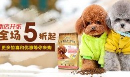 钻石宠物最新爆料下载