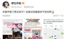 写娱乐圈爆料,揭秘明星背后的故事