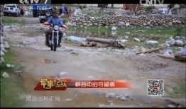 新疆爆料视频,引发社会关注