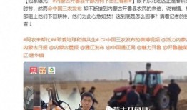 今日内江爆料新闻报道视频,最新视频揭露惊人事件，详情敬请关注