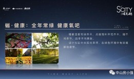 遵化建龙最新爆料电话,电话揭露惊人内幕