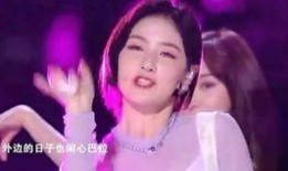 张艺凡爆料视频在线观看,揭秘娱乐圈幕后真相