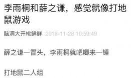 你们的吃瓜日记免费阅读,吃瓜日记中的明星幕后故事