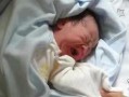 张杰吃瓜爆料视频在线观看,揭秘娱乐圈幕后真相