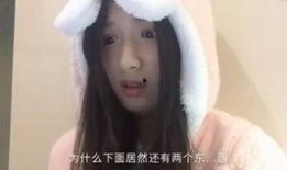 直播狗仔爆料视频下载,视频下载背后的幕后故事