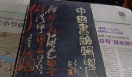 南宁外卖店爆料视频大全,揭秘美食背后的故事