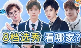 选秀男团爆料视频,揭秘幕后真相与激烈竞争