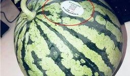 英国网红吃瓜,揭秘幕后花絮与趣味瞬间