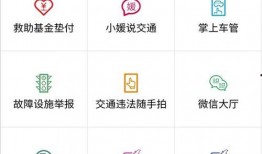 通行证最新爆料信息查询,通行证政策调整，带你全面了解最新动态