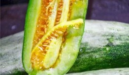 英国网红吃瓜,揭秘幕后花絮与趣味瞬间