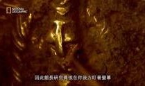 最新珍宝爆料视频大全在线观看,最新热门内容在线观看汇总