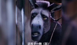 最新老子爆料搞笑视频,揭秘生活幽默瞬间