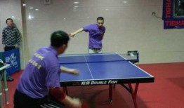 乒乓侠在线观看