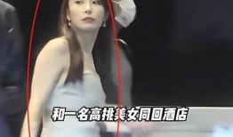 博主爆料女友视频大全最新,博主爆料背后的真相与争议