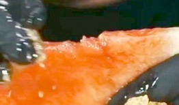 英国网红吃瓜,揭秘幕后花絮与趣味瞬间