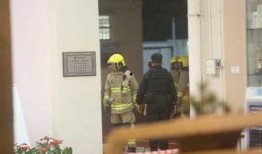 烈性恋爱在线观看,激情燃烧的青春岁月