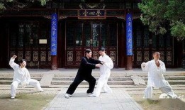 太极在线观看,探寻传统武术与现代生活的完美融合