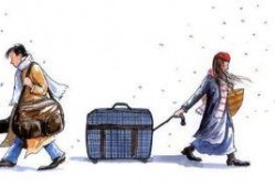 向左走向右走在线观看,穿越时空的浪漫邂逅