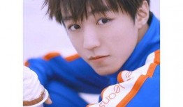 独家娱乐八卦爆料王俊凯,揭秘明星背后的真实生活