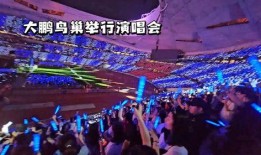 大鹏演唱会爆料最新消息,精彩瞬间与幕后故事大揭秘