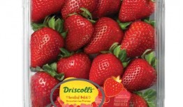 微笑爆料草莓视频大全最新,微笑爆料，带你领略最新潮流短视频盛宴