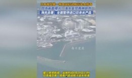 日本核废水最新爆料视频,最新爆料视频曝光惊人内幕