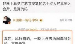 卓伟最新爆料黄磊,卓伟最新爆料揭秘真相