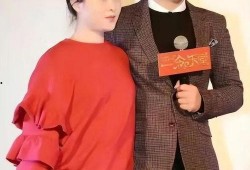 沈腾老婆爆料完整视频,揭秘明星夫妻背后的温馨瞬间