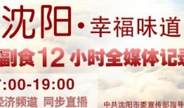 沈阳新闻今天爆料