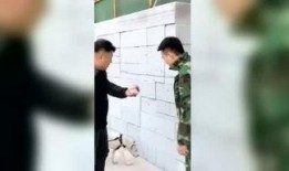 辽宁虫子爆料视频,真实事件背后的惊人真相