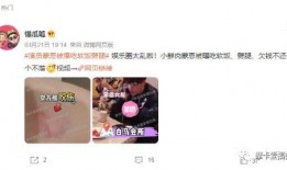 懂瓜呱爆料视频,视频内容深度解析