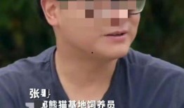 网红爸爸吃瓜,揭秘娱乐圈幕后故事