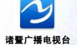 诸暨电视台新闻爆料,聚焦民生热点，揭示社会现象