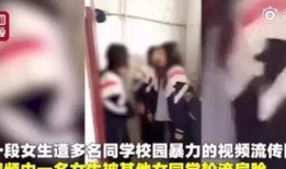 慈溪小学爆料事件视频,真相与反思