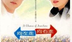 向左走向右走在线观看,穿越时空的浪漫邂逅