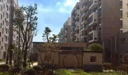 遵化建龙最新爆料电话,电话揭露惊人内幕