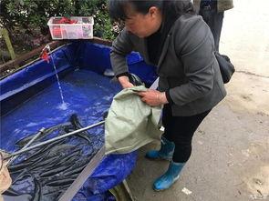 五一吃瓜群众视频播放,热门事件一网打尽